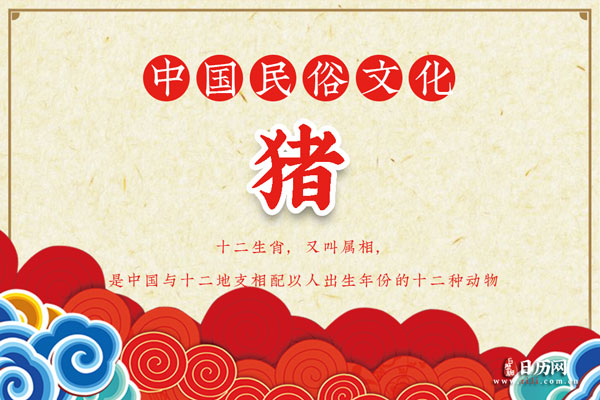 属猪的人哪天出生好