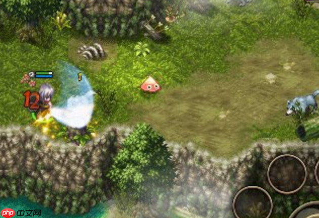 艾诺迪亚4忍者技能加点_艾诺迪亚4忍者全技能加点攻略