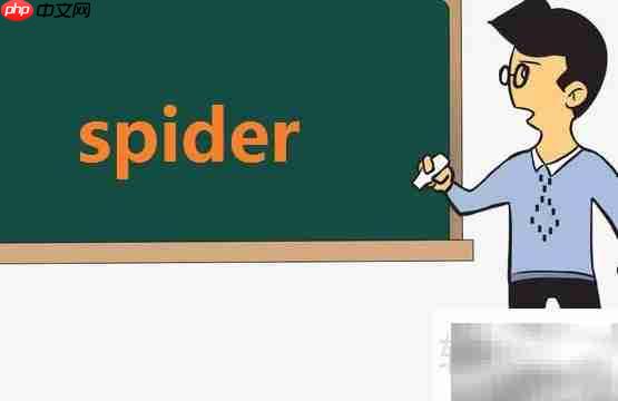 spider怎么读?spider的发音?spider是什么意思