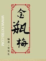 金瓶梅txt下载八零-金瓶梅TXT八零下载