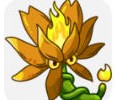 植物大战僵尸融合版安装包官方下载-融合版3.5.5官方版游戏下载apk