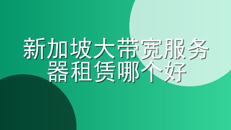 新加坡大带宽服务器租赁哪个好